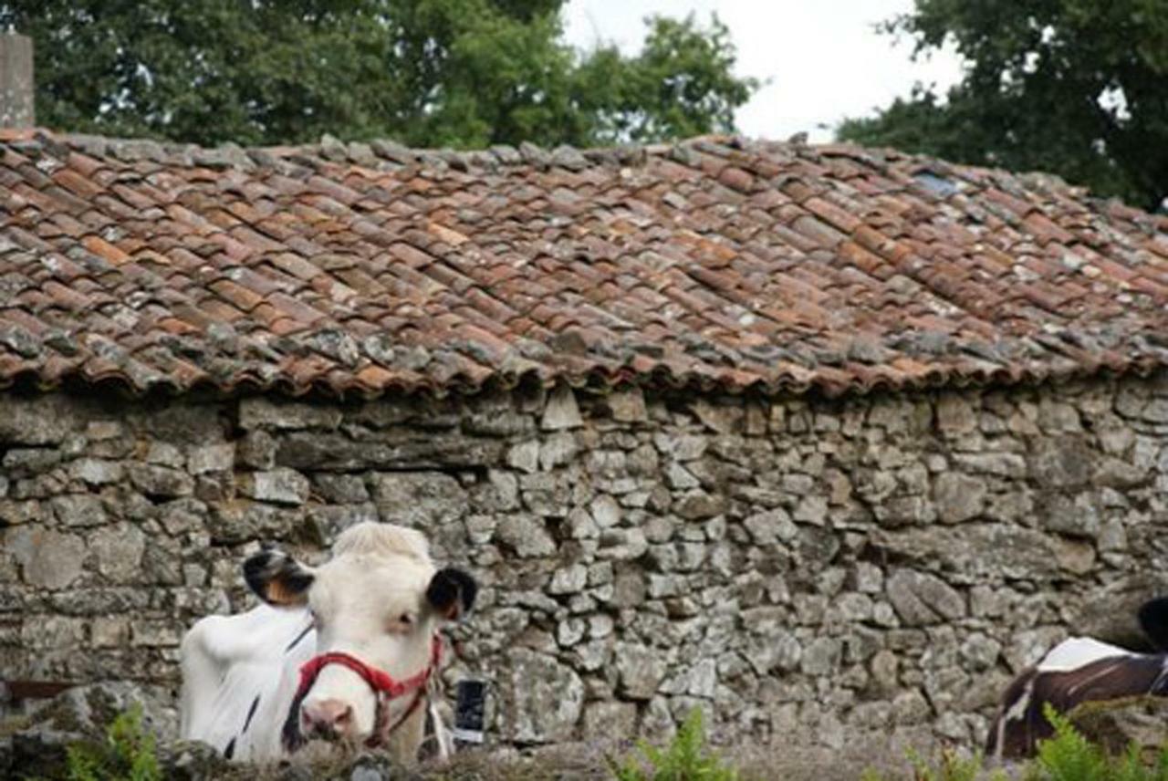 Stone Cottage Fisterra Curtis Bagian luar foto